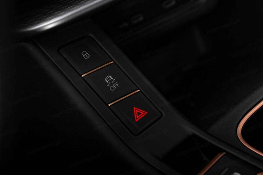 Cupra Terramar Advantage Edition 2.0 TSI 4Drive DSG