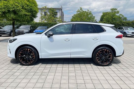 Cupra Terramar Advantage Edition DCC 2.0 TSI 4Drive DSG