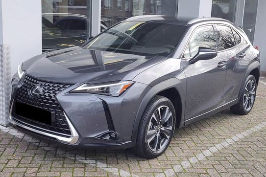 Lexus UX 300h Business 2.0 Hybrid Dynamic Force