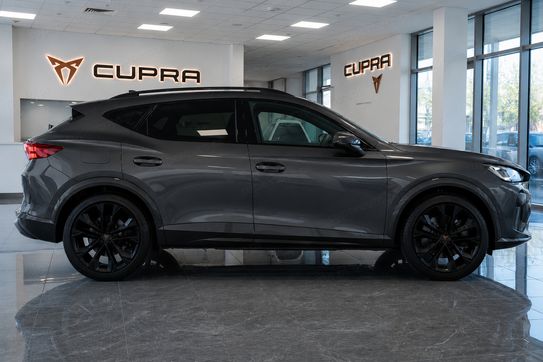 Cupra Formentor 2.0 TSI 4Drive DSG