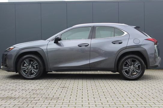 Lexus UX 300h Business