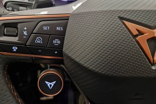 Cupra Terramar Advantage Edition DCC 2.0 TSI 4Drive DSG