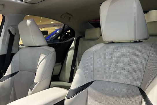 Lexus ES 300h Business Edition 2.5 E-CVT
