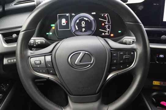 Lexus UX 300h Business Hybrid Dynamic Force