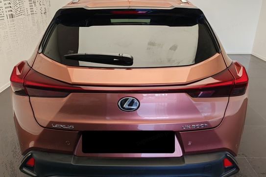 Lexus UX 300h F Sport 2.0 Hybrid Dynamic Force
