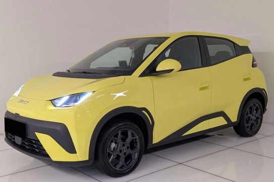 BYD Dolphin Surf Boost