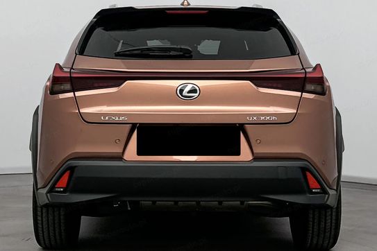 Lexus UX 300h Business 2.0 Hybrid Dynamic Force