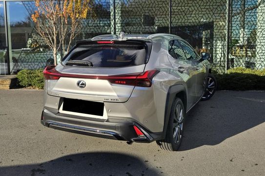 Lexus UX 300h F Sport Design 2.0 Hybrid Dynamic Force