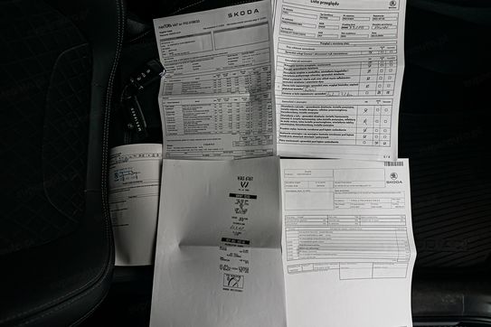 Skoda Kodiaq 2.0 TSI 4x4  DSG