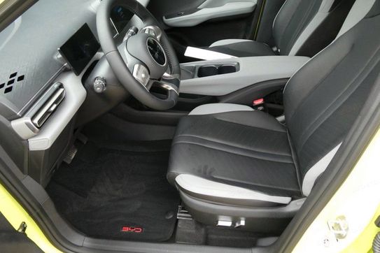 BYD Dolphin Surf Comfort