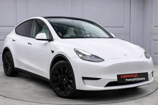 Tesla Model Y Dual Motor  AWD