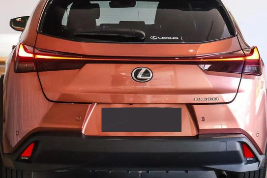 Lexus UX 300h Business
