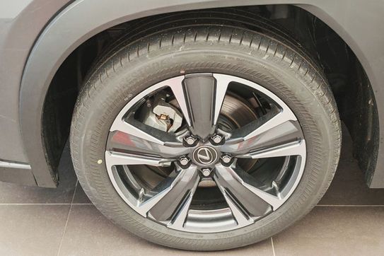 Lexus UX 300h Business 2.0 Hybrid Dynamic Force