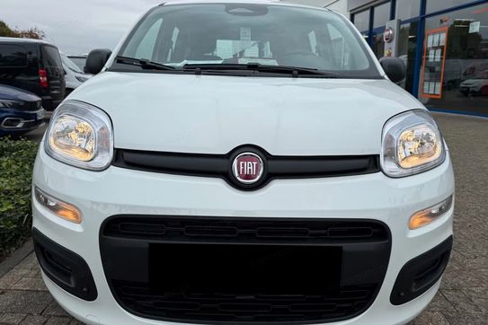 Fiat Pandina ICON