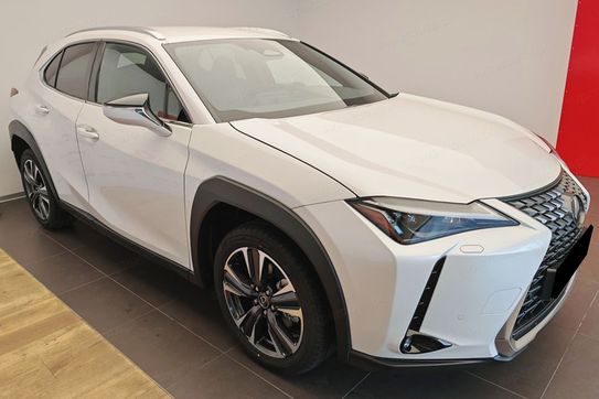 Lexus UX 300h Business 2.0 Hybrid Dynamic Force