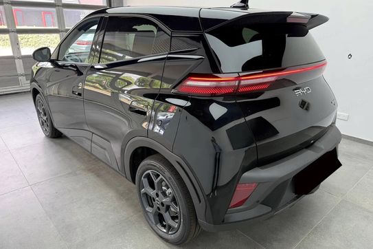 BYD Dolphin Surf Boost