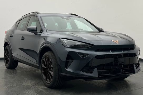 Cupra Formentor 2.0 TSI 4Drive DSG