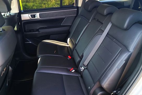 Hyundai Santa Fe 1.6 t-Gdi Phev Platinum 4WD 7OS