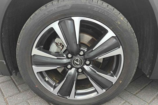 Lexus UX 300h Business 2.0 Hybrid Dynamic Force