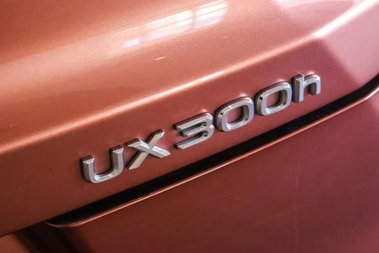 Lexus UX 300h Business