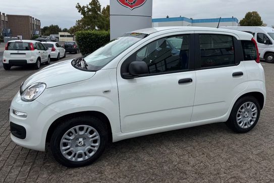 Fiat Pandina ICON