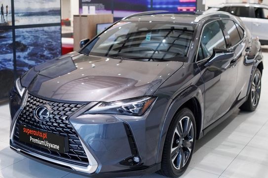 Lexus UX 300h AWD