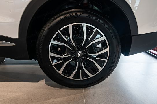 Chery Tiggo 7 Premium 1.5 T-GDI HEV DCT