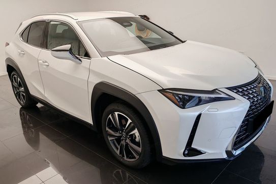Lexus UX 300h Business 2.0 Hybrid Dynamic Force