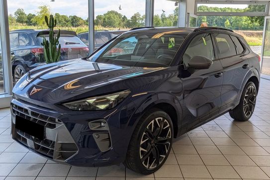 Cupra Terramar Advantage Edition 2.0 TSI 4Drive DSG