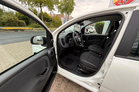 Fiat Pandina ICON