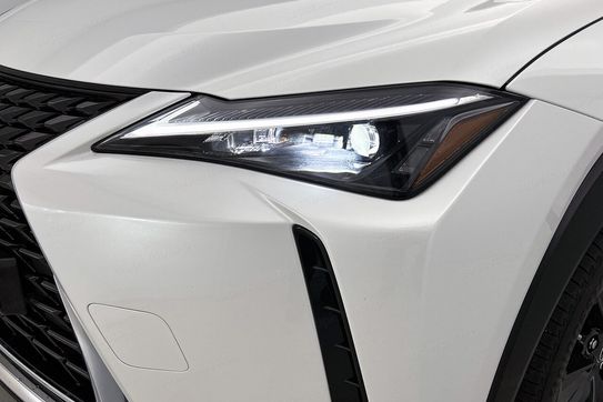 Lexus UX 300h Business