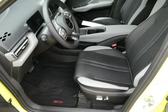 BYD Dolphin Surf Comfort
