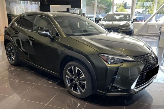 Lexus UX 300h Business 2.0 Hybrid Dynamic Force