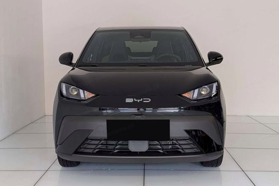 BYD Dolphin Surf Boost