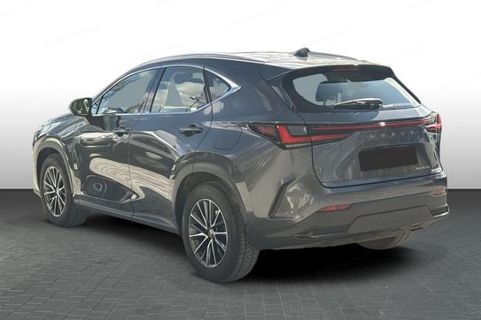Lexus NX 350h Business AWD