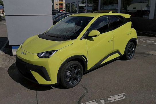 BYD Dolphin Surf Boost