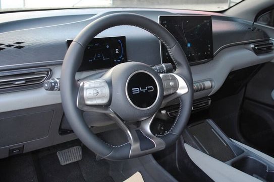 BYD Dolphin Surf Boost