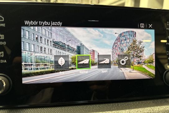 Skoda Kamiq 1.0 TSI Selection DSG