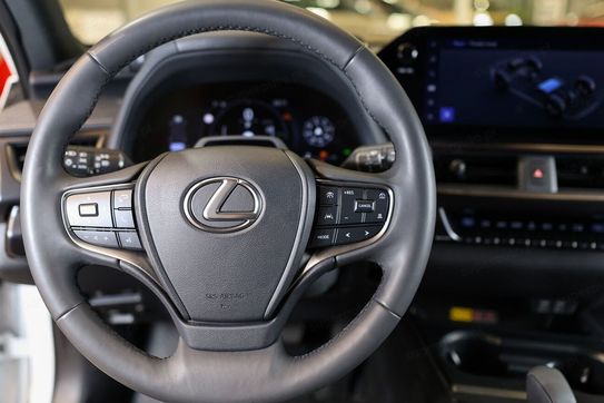 Lexus UX 300h F Sport Design AWD