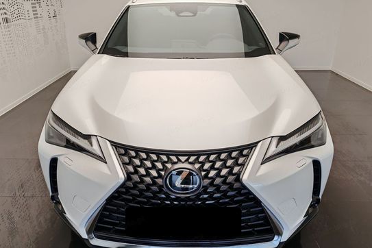 Lexus UX 300h Business 2.0 Hybrid Dynamic Force
