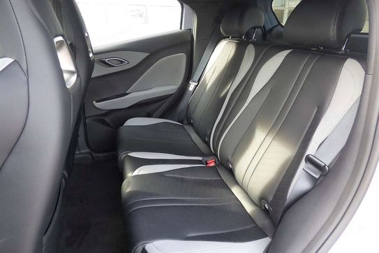 BYD Dolphin Surf Boost