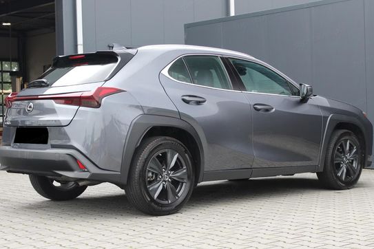 Lexus UX 300h Business