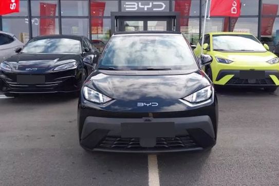 BYD Dolphin Surf Boost