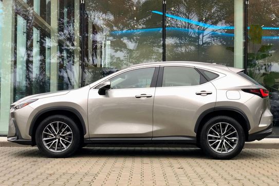 Lexus NX 350h Business AWD