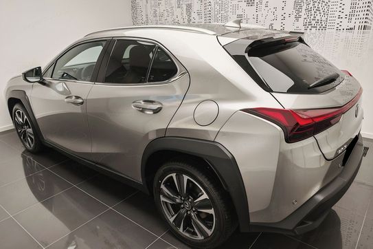 Lexus UX 300h Business 2.0 Hybrid Dynamic Force