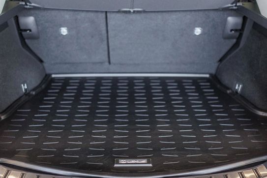 Lexus NX 350h Omotenashi AWD