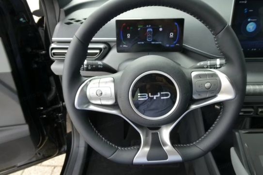 BYD Dolphin Surf Comfort