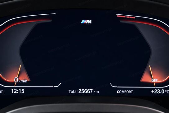 BMW X4 xDrive30i M Sport
