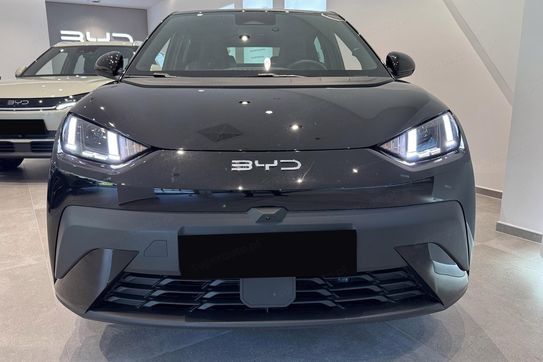 BYD Dolphin Surf Boost