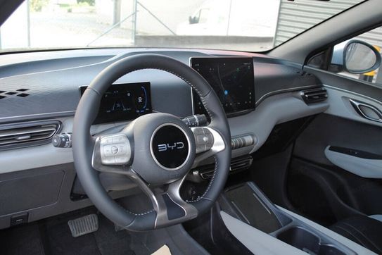 BYD Dolphin Surf Comfort